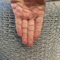 What Is Double Twisted Hexagonal Wire Mesh? Uses, Features and Applications
