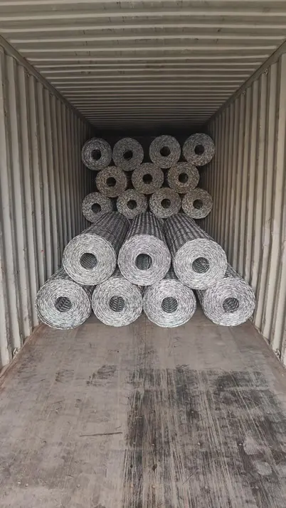 Rockfall Protection Netting - Hot-Dipped Galvanized Hexagonal Mesh for Slope Stabilization